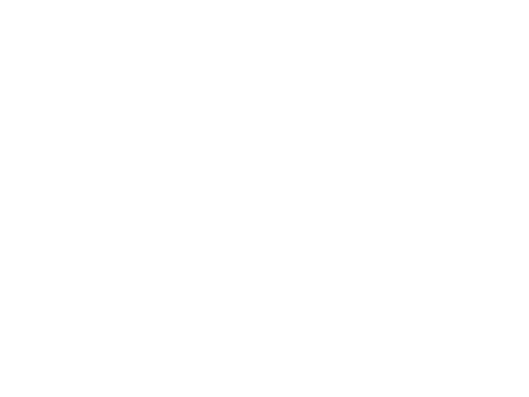 Another Perspective Pictures logo